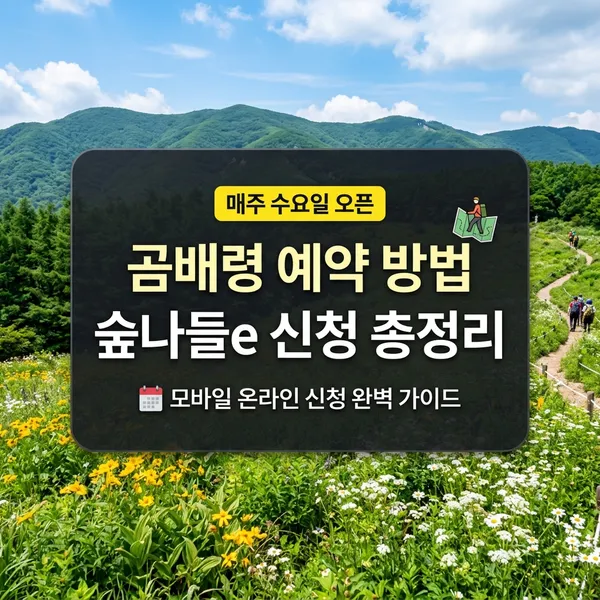 곰배령 숲나들e 예약 방법 및 신청 시간 정리