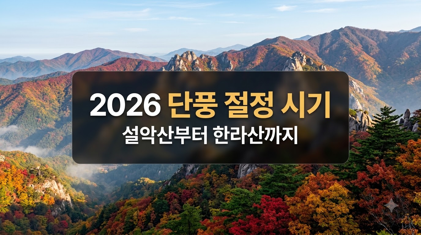 2026년 전국 주요 산 단풍 절정 시기 안내