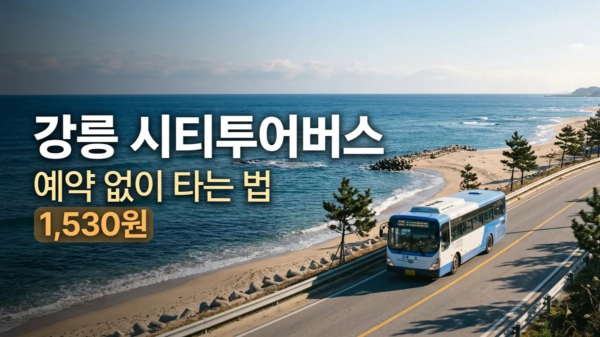 강릉 시티투어버스 예약 없이 타는 법 정리